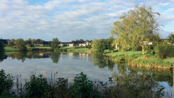 Sø ved Søgården Brørup